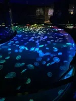 すみだ水族館の写真・動画_image_1459530