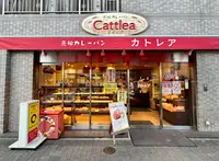 カトレアの写真・動画_image_1472969