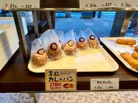 カトレアの写真・動画_image_1472975