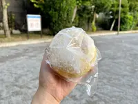 カトレアの写真・動画_image_1472980
