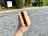 カトレアの写真・動画_image_1472982