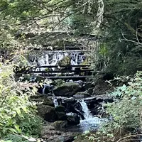 貴船神社の写真・動画_image_1473141