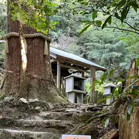 鞍馬寺の写真・動画_image_1473177