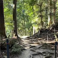 鞍馬寺の写真・動画_image_1473178