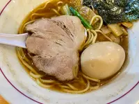 ロースの虎の写真・動画_image_1473594