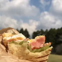 泉自然公園の写真・動画_image_1475987