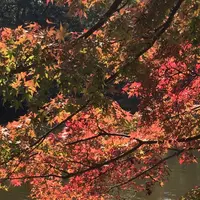 泉自然公園の写真・動画_image_1476005