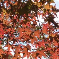 泉自然公園の写真・動画_image_1476006