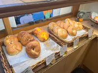 ヒポポタマスの写真・動画_image_1478777