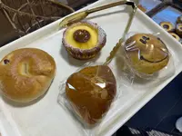 ヒポポタマスの写真・動画_image_1478780