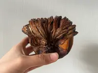 イスズベーカリー 元町店の写真・動画_image_1481250