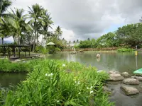 立川漁場 | 黄金蜆的故郷の写真・動画_image_1481639