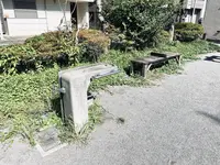 清澄二丁目公園の写真・動画_image_1482719