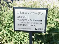 清澄二丁目公園の写真・動画_image_1482720