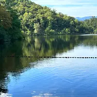 宝ヶ池公園の写真・動画_image_1483119
