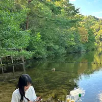 宝ヶ池公園の写真・動画_image_1483120