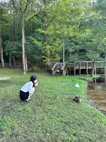 宝ヶ池公園の写真・動画_image_1483121