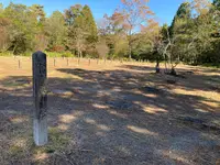 紫香楽宮跡の写真・動画_image_1483515