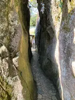 太郎坊宮の写真・動画_image_1483999