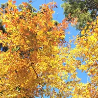 泉自然公園の写真・動画_image_1490270