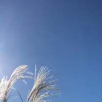 泉自然公園の写真・動画_image_1490271