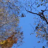 泉自然公園の写真・動画_image_1490272