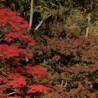 泉自然公園の写真・動画_image_1490273