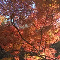 泉自然公園の写真・動画_image_1490274