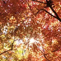 泉自然公園の写真・動画_image_1490276