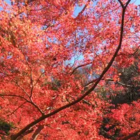 泉自然公園の写真・動画_image_1490278