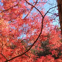 泉自然公園の写真・動画_image_1490279