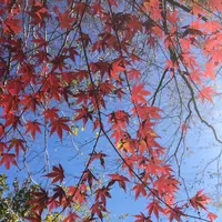 泉自然公園の写真・動画_image_1490280