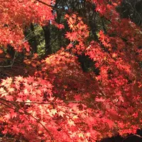 泉自然公園の写真・動画_image_1490282