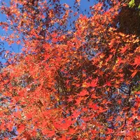 泉自然公園の写真・動画_image_1490283