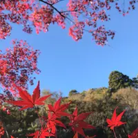 泉自然公園の写真・動画_image_1490284