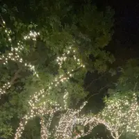 ザ・リッツ・カールトン沖縄の写真・動画_image_1494977