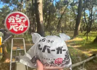 唐津バーガーの写真・動画_image_1496020
