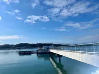 呼子萬坊の写真・動画_image_1496042