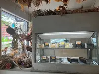 ちーずとけーき。の写真・動画_image_1496101