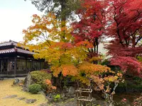 南昌荘の写真・動画_image_1499724