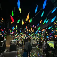 アトア（átoa）の写真・動画_image_1499898