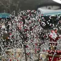 箱根ガラスの森美術館の写真・動画_image_1503372