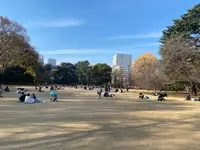 新宿御苑の写真・動画_image_1509773