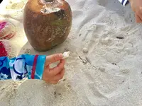 Manyagaha Island（マニャガハ島）の写真・動画_image_1517232