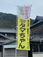 お好み焼きタマちゃんの写真・動画_image_1527288