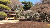 皇居東御苑の写真・動画_image_1532985