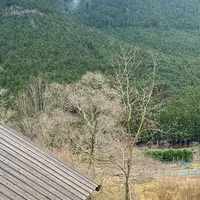 THE CANYON MOUNTAIN CAMPの写真・動画_image_1547978