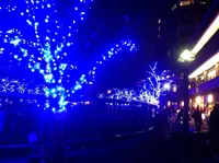 目黒川の写真・動画_image_155301