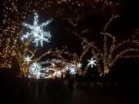 中之島の写真・動画_image_156228