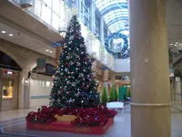 ディアモール大阪の写真・動画_image_156433